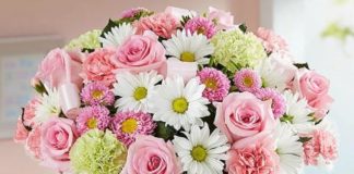 Ή χαρά για τον καινούργιο χρόνο