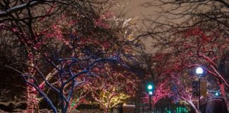 Τραγούδα, ψυχή μου, τα κάλαντα (Ακούστε τα)