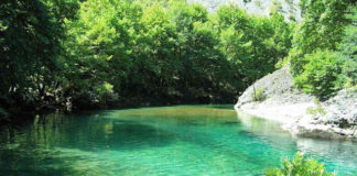 Περί Ησυχίας