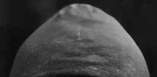 Ο Άγιος Γαβριήλ έβλεπε την εικόνα του Θεού σε κάθε άνθρωπο…