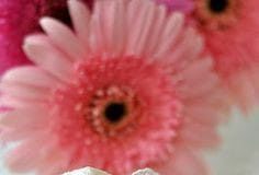 Γέροντας Παΐσιος : Λουκούμια από χιόνι