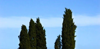 Πηλός είμεθα, άγνοιαν έχομεν…