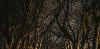 Είναι τόσο ευεργετικό να θυμάσαι