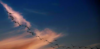 Τί δεν μας αφήνει να σηκώσουμε κεφάλι…