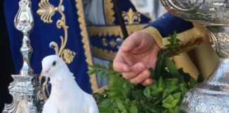 Κάθε Θεία Λειτουργία είναι Θεοφάνια