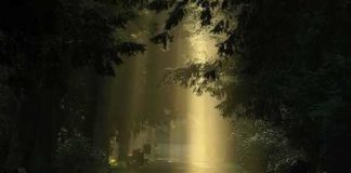 Ἡ απιστία είναι τρέλα