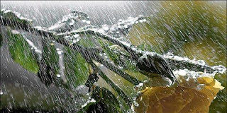 Συγχώρηση προσβολών – κρίση του πλησίον