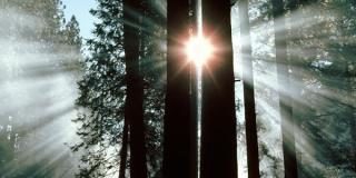 Η χειρότερη οικογένεια: Ζήλια – Φθόνος – Μίσος – Εκδίκηση