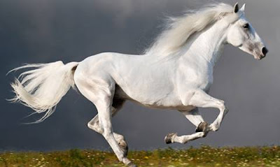 1432196159-9414a8f5b810972c3c9a0e2860c07532