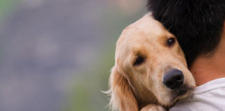 Αγάπη χωρίς όρια