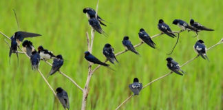 Τα ωραιότερα καλλυντικά