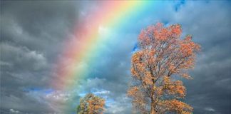 Σημεία προκοπής της ψυχής είναι,…το να ευχαριστούμε και δοξολογούμε το Θεό για όλα!…