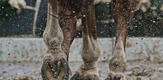 Μία πρώτη υποχώρηση ζητά. Εάν του την παραχωρήσουμε….