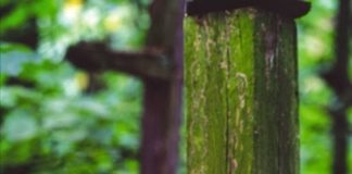 Η αντιμετώπιση των πειρασμών