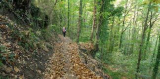 Δεν πρόλαβε να πει κουβέντα…βλέπεις στο θαύμα ξαφνιάζεσαι