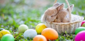 Διακαινήσιμος