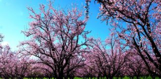Μάρτιος : Καλό μήνα σε όλους !