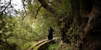 Γέρων Αρσένιος Γρηγοριάτης: Οι συμβουλές ομοιάζουν με τα ξερά χώματα, τα οποία δεν κολλούν στον τοίχο