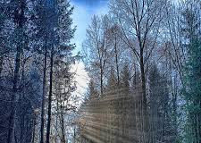 Άγιος Βαρσανούφιος: Να προσεύχεσαι. Για όλους…. Και τι θα βγει;