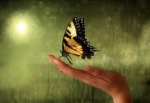 Κυπριακό λαϊκό παραμύθι : Η φιλοξενία του Χριστού