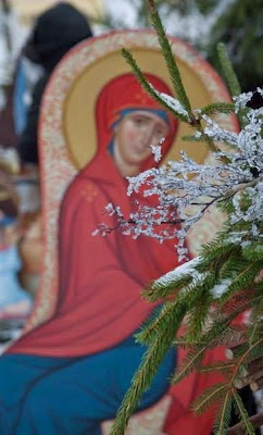 65776_297138623817455_6487875346035025614_n