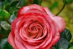 Για την αγάπη