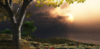 Με το νου και την καρδιά