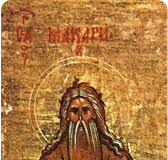 Τα άνθη της ερήμου