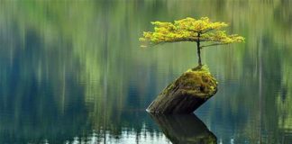 Αγάπα τον πλησίον σου ως σε αυτόν