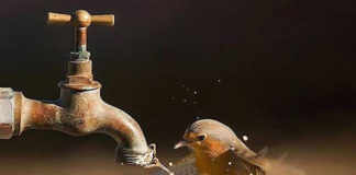 Πως πρέπει να γίνεται η ελεημοσύνη; Τί ωφελεί να συμπάσχουμε;