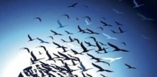 Πρόσεχε, μην πάρουν τα μυαλά σου αέρα