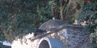 Το μήλο του Παραδείσου – Γέρων Τιμόθεος ο Ρώσος +1848