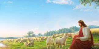 Μην απελπίζεσαι ! Φαντάσου !