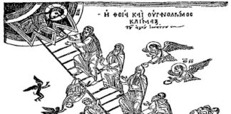 Ο αμελής ερημίτης