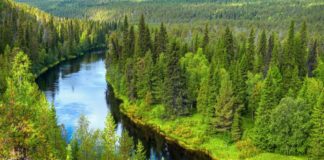 Αυτή είναι η ζωή