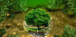 Ἡ Ὁρθόδοξη θεώρηση γιά τὸ περιβάλλον