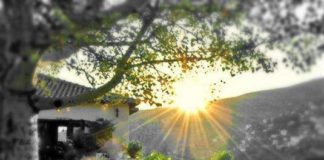 Θυμός, οργή, κραυγή έκ τού στόματος υμών μή έξελθέτω