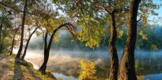 Η αγιοσύνη εξημερώνει τη φύση