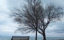 Ευγένεια ψυχής