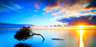 Η πόρτα του καλού δεν πρέπει ποτέ να μένει κλειστή..