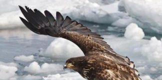 … Σαν τον πρωτόπλαστο αθώο Αδάμ