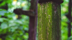 Η αντιμετώπιση των πειρασμών