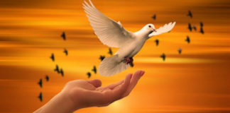 Θέλεις νά σώσεις τήν ψυχή σου;