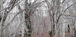 Μια προσέγγιση στο άγχος του σύγχρονου ανθρώπου