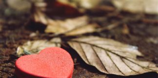 Ας αποκτήσουμε αγάπη