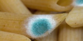 Τι θα συμβεί αν φάτε κάτι που έχει πιάσει μούχλα