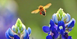 Θέλεις να βρεις την αιώνια ζωή; Κράτησε αυτά τα δύο, την πίστη και την ταπεινοφροσύνη