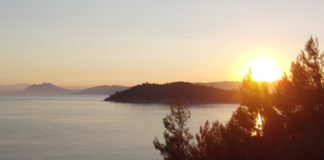 Σ’ ευχαριστώ !