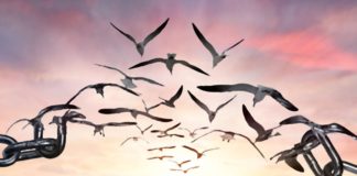 Κατανόηση, η γνησιώτερη μορφή αγάπης