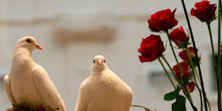 Τρεῖς δεῖχτες, Κάλλιστος Γουέαρ Ἐπίσκοπος Διοκλείας